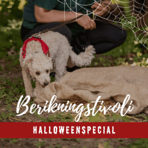 Berikningstivoli (Halloweenspecial)