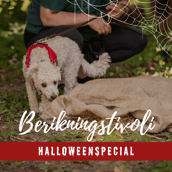 Berikningstivoli (Halloweenspecial)