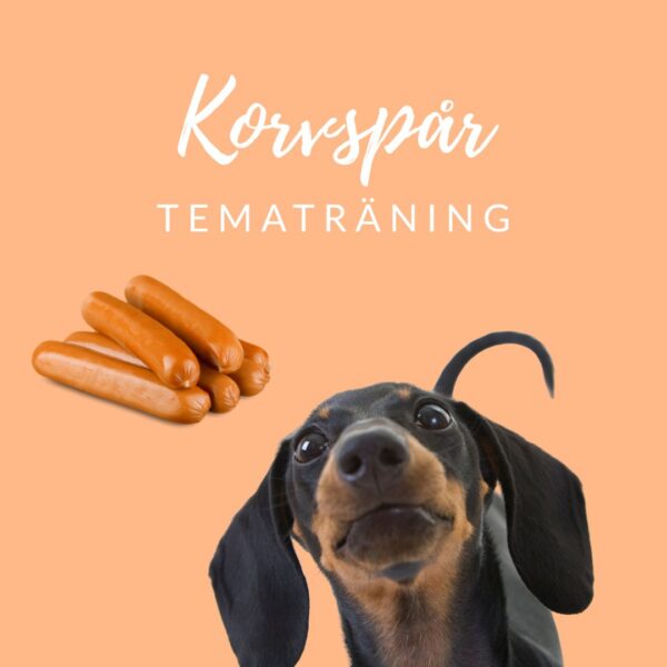 Tematräning: Korvspår