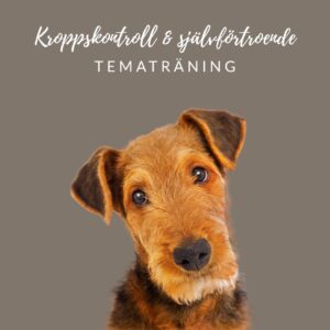 tematraning-kroppskontroll-och-sjalvfortroende