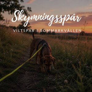 Skymningsspår