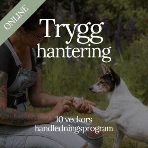 Trygg hantering – 10 veckors handledningsprogram